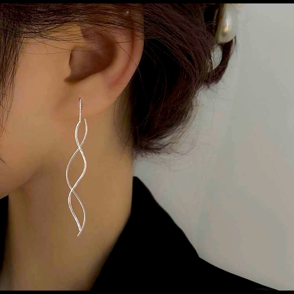 NWT Women’s Silver Earrings